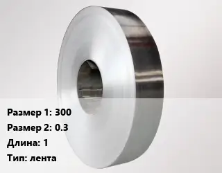 Нейзильбер 300х0.3 L=1 лента